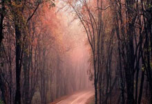 开云：[图]勒沃库森2-1奥格斯堡 联赛夺冠+34场不败收官.