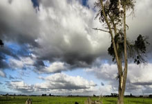 联想拯救者8.8英寸电竞小平板来袭,手游党的新宠?.