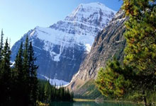 开云:谷爱凌因伤错过世界杯,曾说身体达到了极限九派新闻.