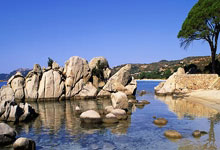 球星挑战赛:吴晙诚4-3战胜法国黑马,夺男单冠军,韩日冠军比3-2.